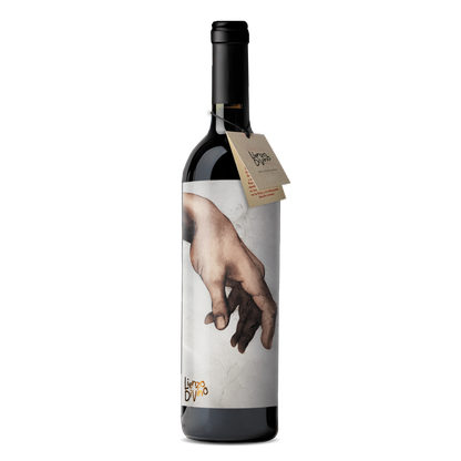 Creación de Adán - MIGUEL ÁNGEL