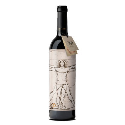 Hombre Vitruvio - DA VINCI