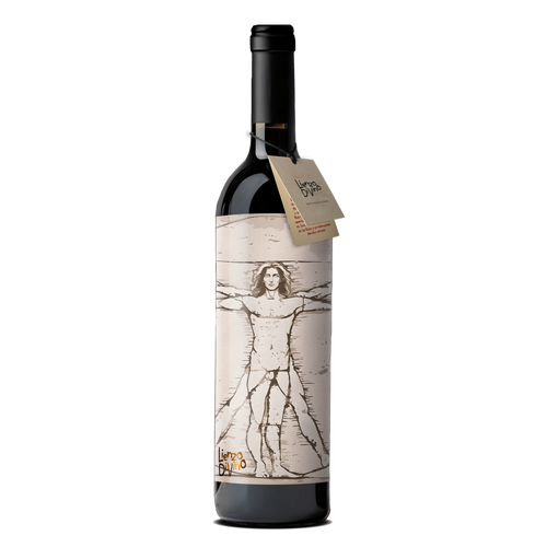 Hombre Vitruvio - DA VINCI