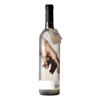 Creación de Adán - MIGUEL ÁNGEL